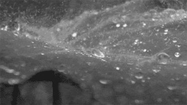 640 (1).gif