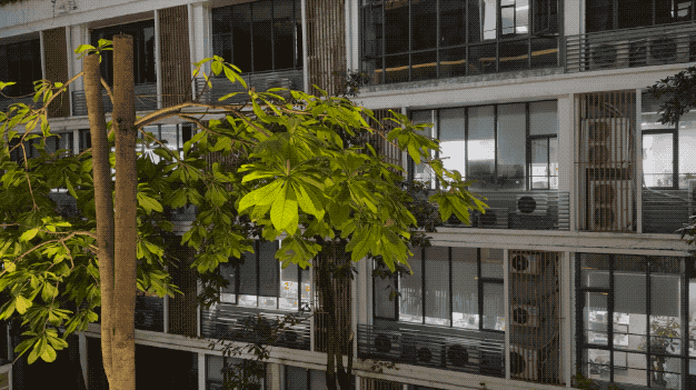 262_1747826604(原视频).2025-05-22 16_44_36.gif