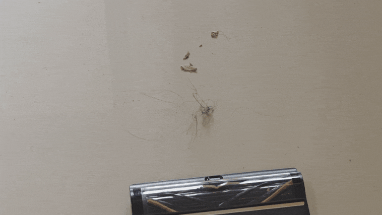 头发2_compressed.gif