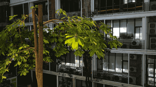 687_1747902899(原视频).2025-05-22 16_45_31.gif