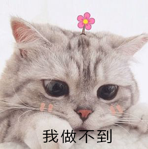 timg (2).png