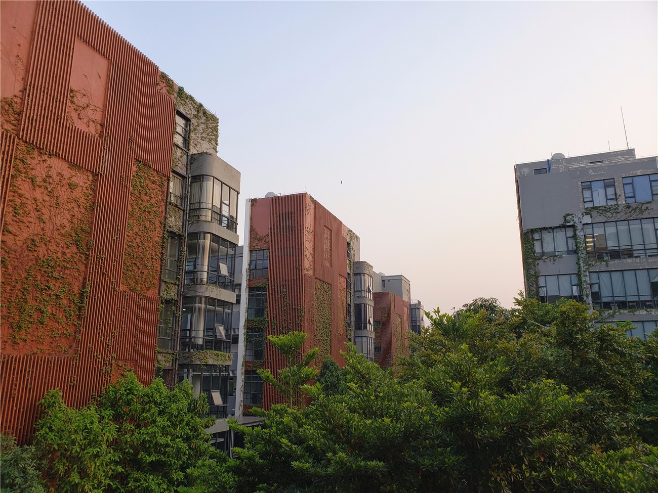 拍照差异:弱光成像效果,三星S9+碾压iPhone X