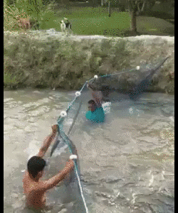 250_300gif 动态图 动图