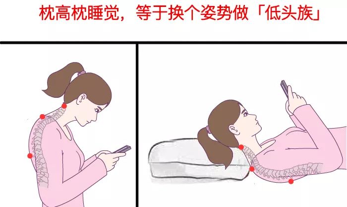 能用8年的枕头是什么概念?日本进口纤维枕芯,超弹超透气 四季彩娱乐