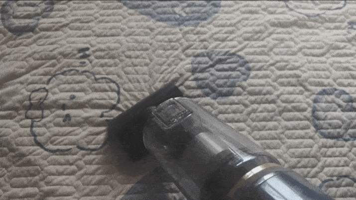 螨虫_compressed.gif