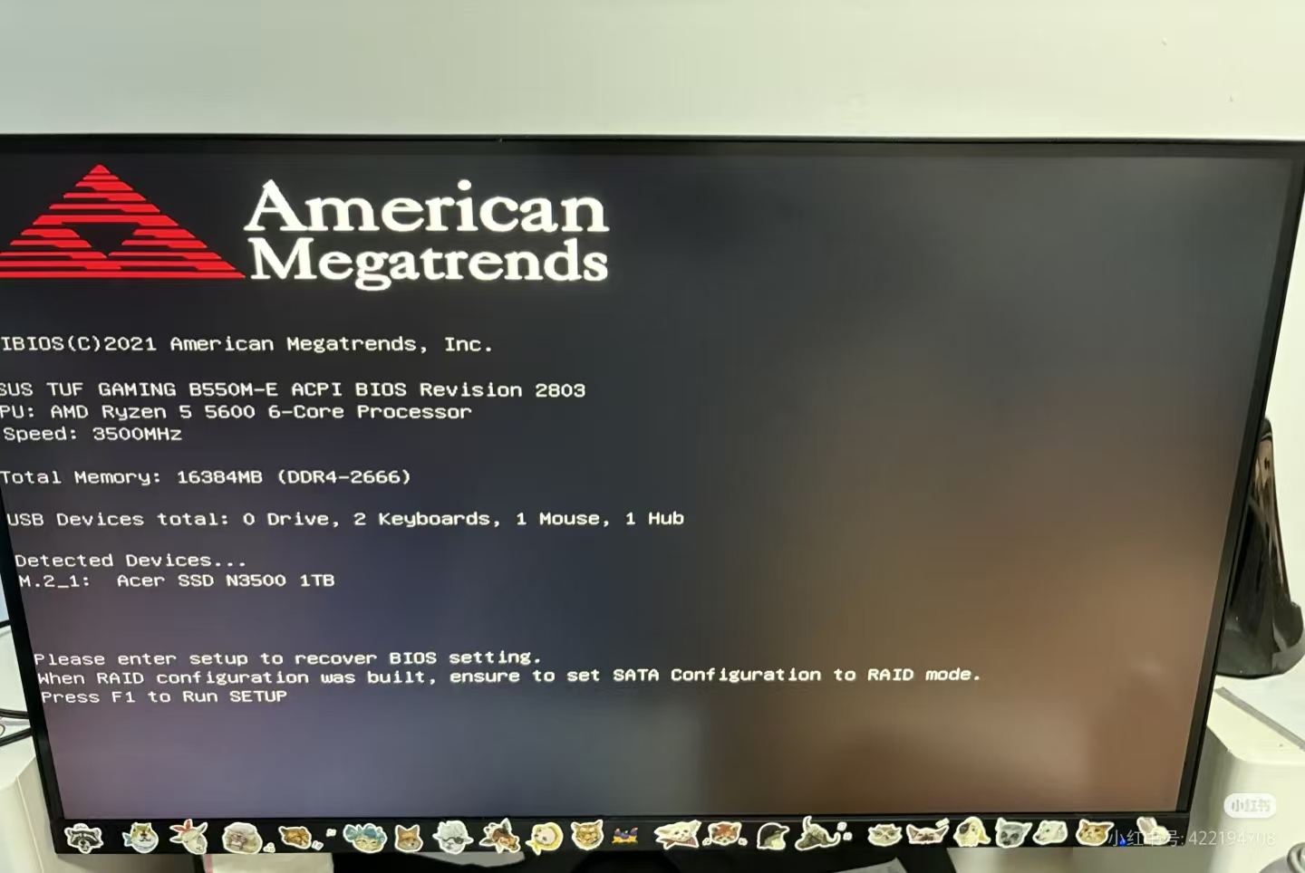 1111.jpg
