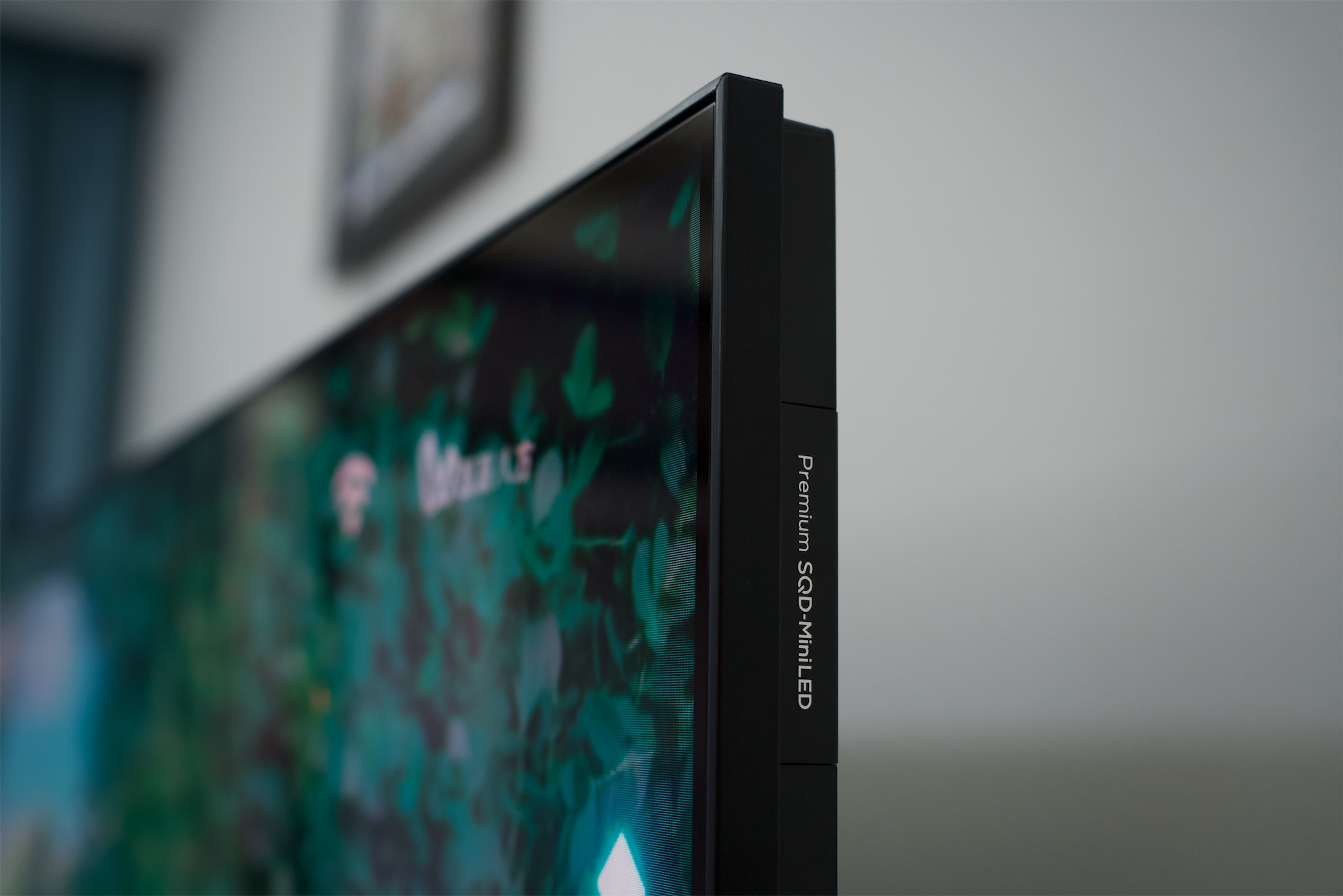 _DSC6469.jpeg