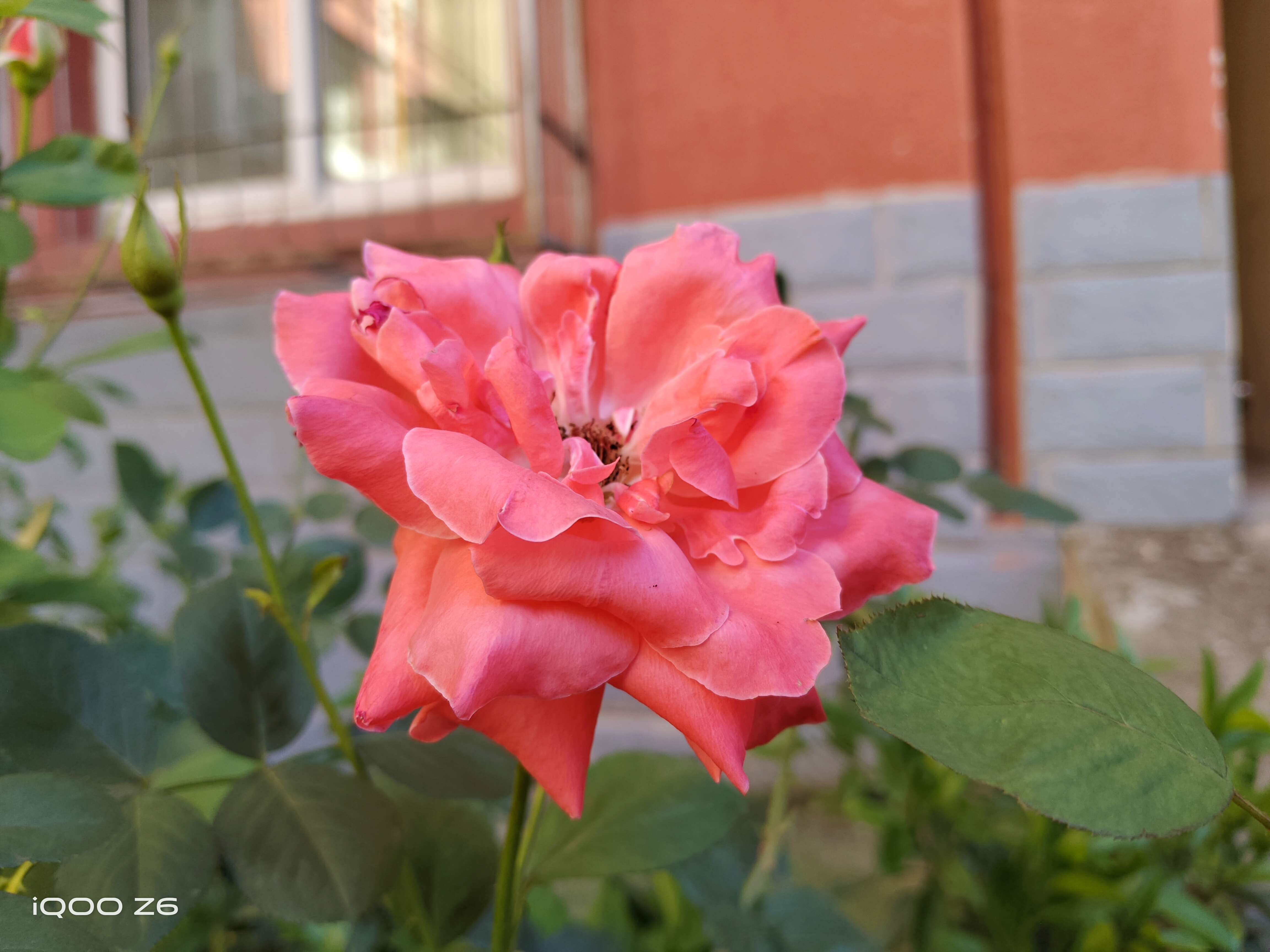 IMG_20220825_164313.jpg