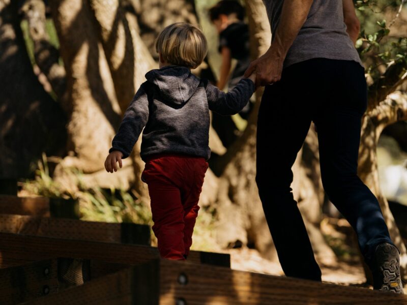 52a4e2ed-b864-463f-a04d-f02bd4bc0d4b-6302b4a2c3a78-scaled-800x600.jpg