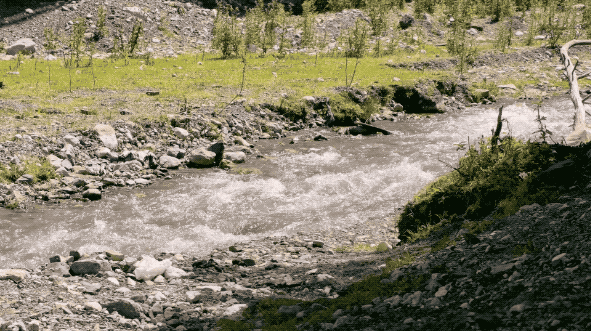 VID_20250714_133622.2025-08-09 16_07_30.gif