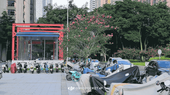dji_export_20260702_151007_1782976207279_editor.2026-07-03 11_34_33.gif