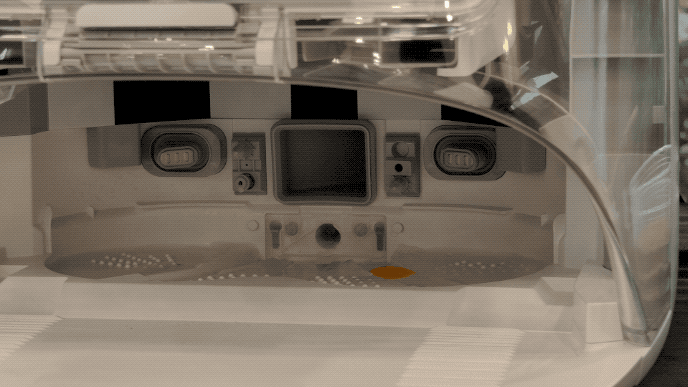 1283_1754394795(原视频).2025-08-05 19_55_46.gif