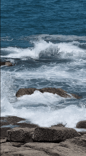 9 (1).gif