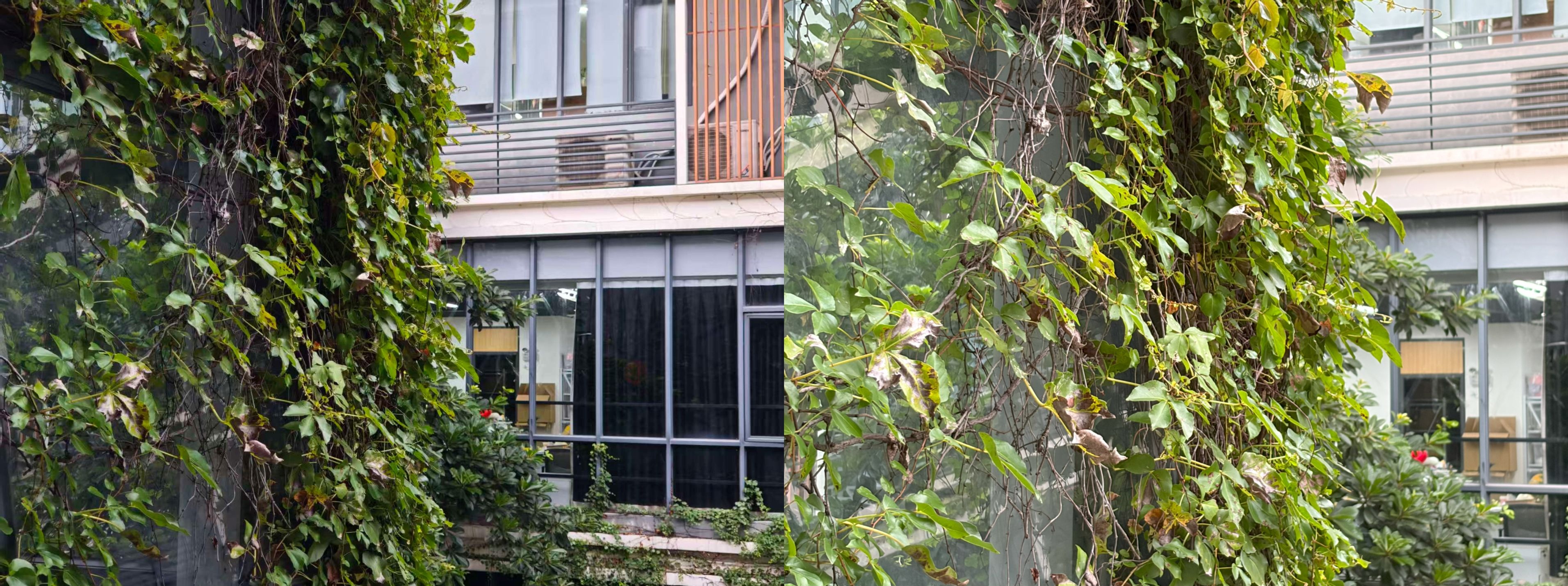 新建项目 (3).jpg