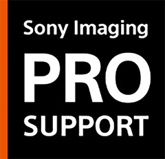 logo_prosupport-x2.jpg