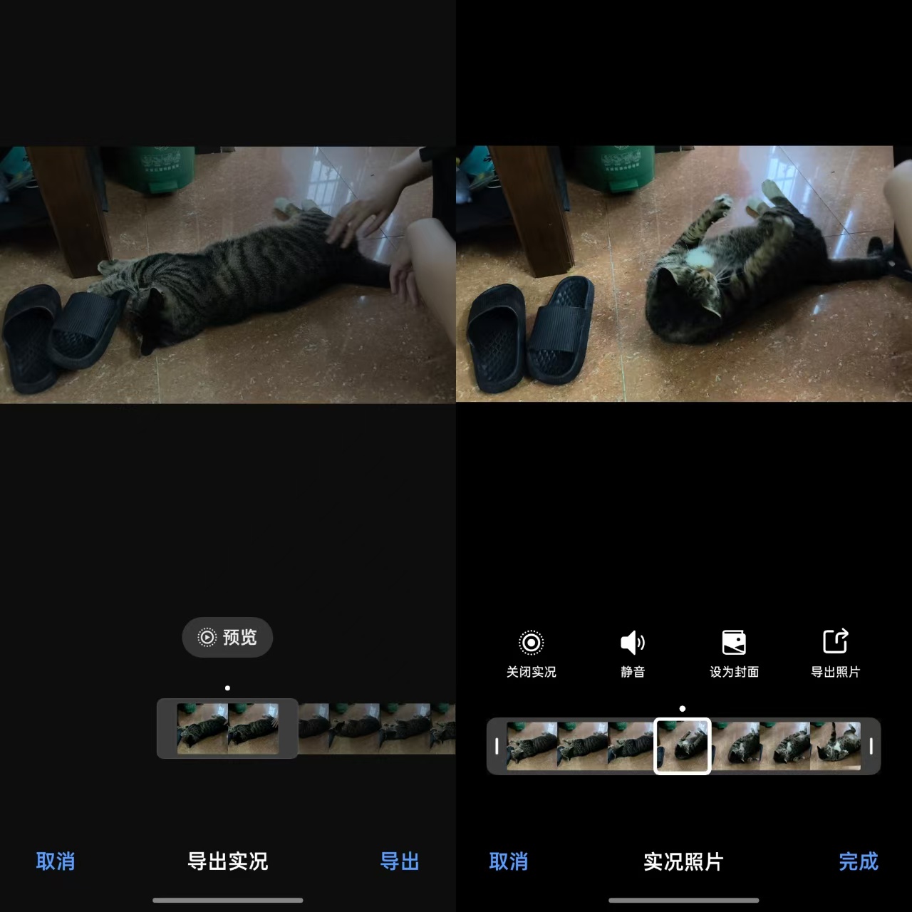17a1e068b823fc4a56e530e936c9d92.jpg