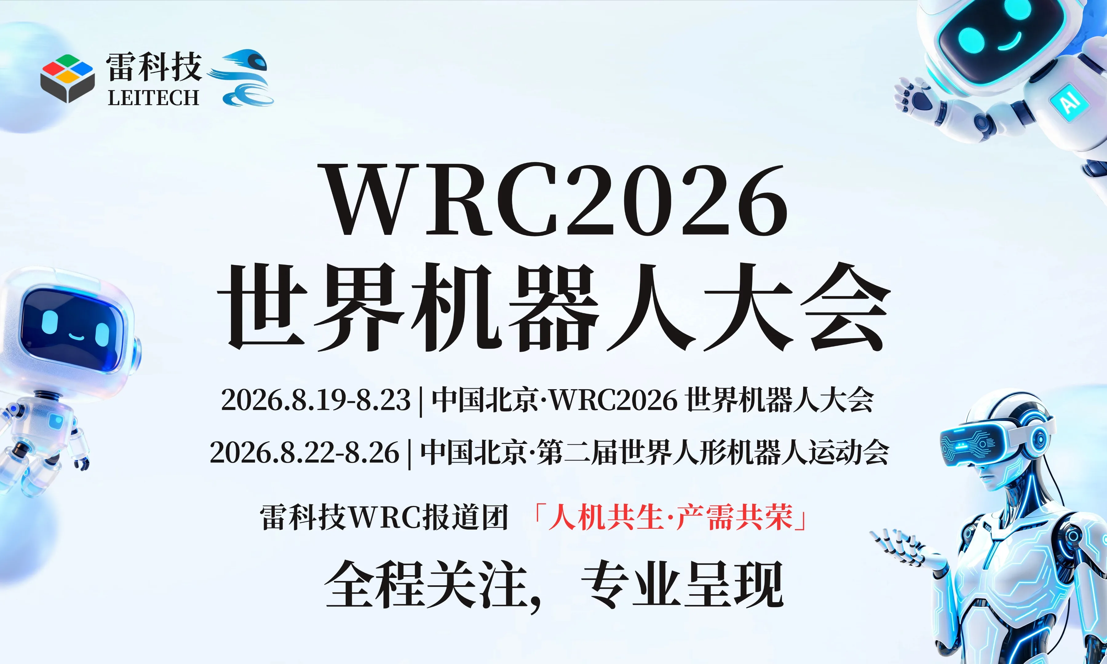 聚焦WRC2026