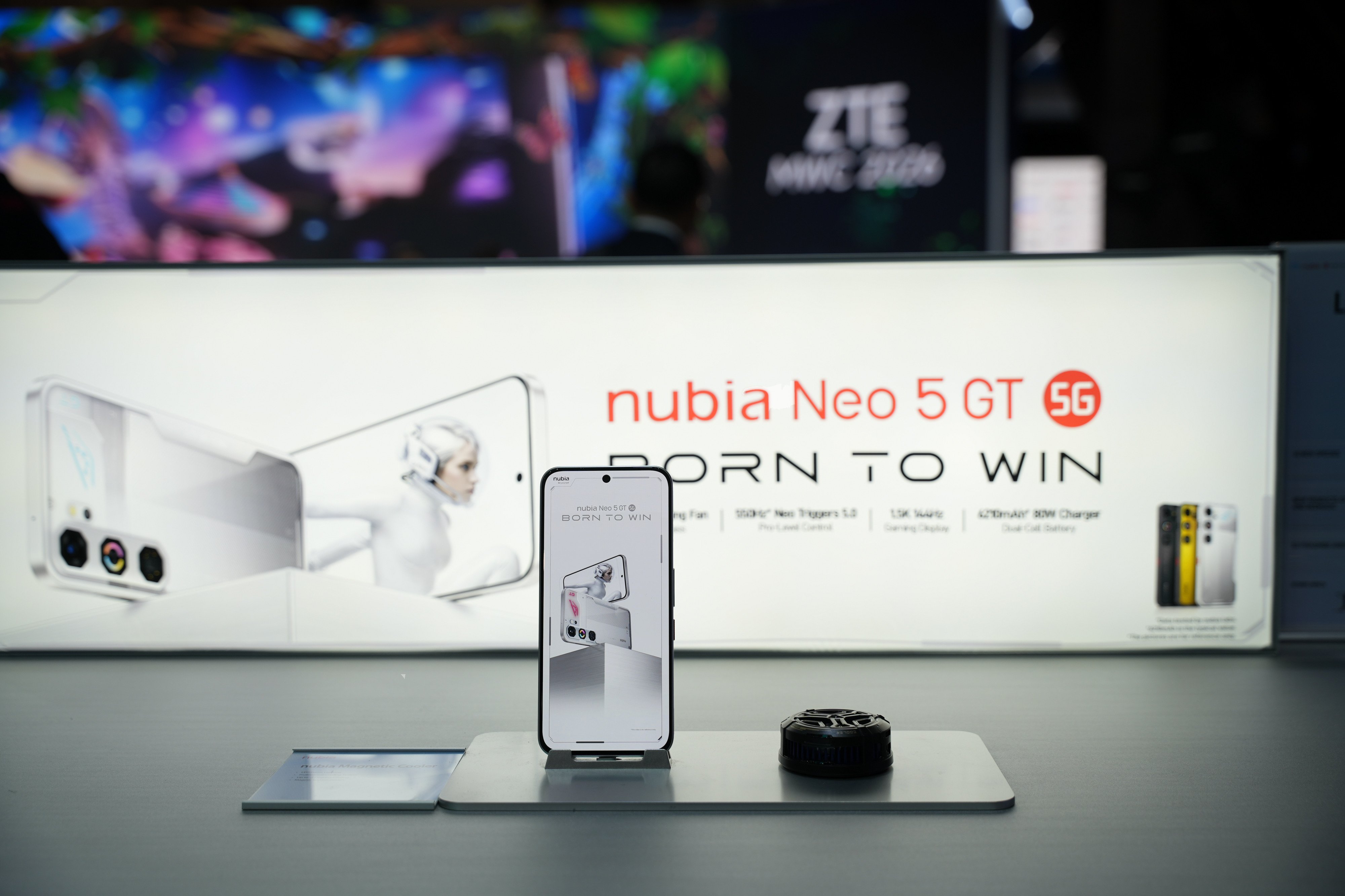 1772551304432 (1).jpg