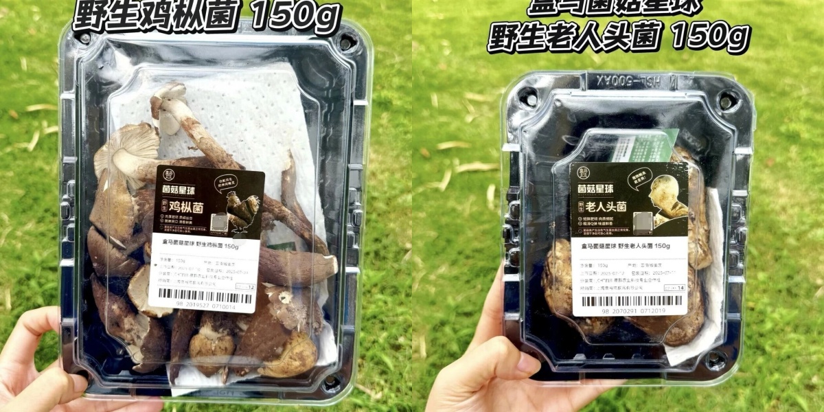 fd58d2d25985498c8dcc93b830952ece_副本.jpg