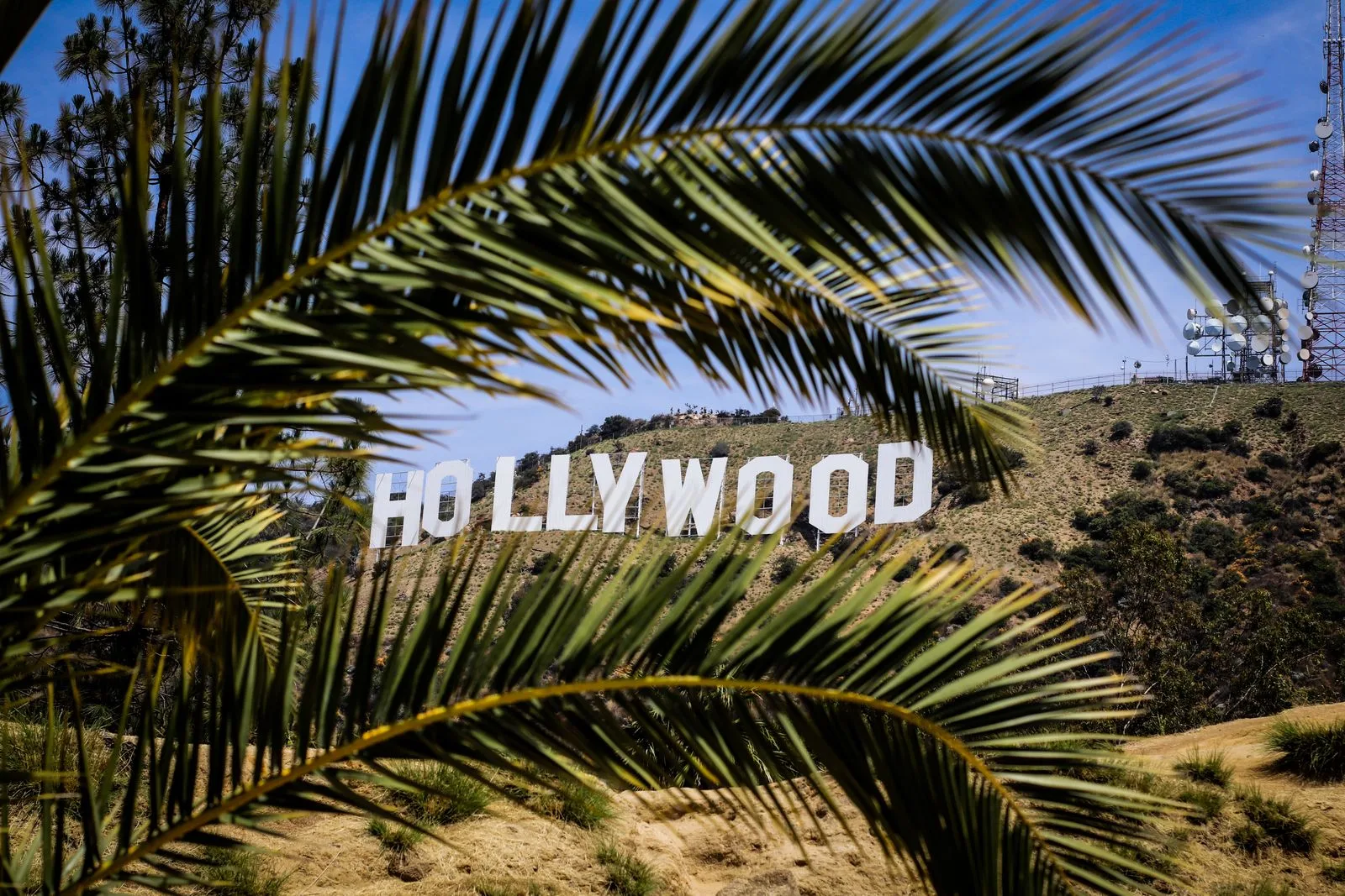 01-hollywood.jpg