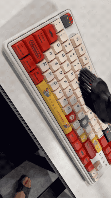 IMG_1311.2023-05-10 11_27_11.gif
