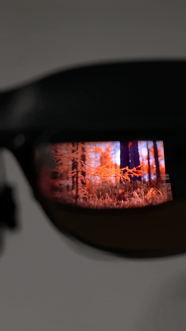 VID20260521184930.gif