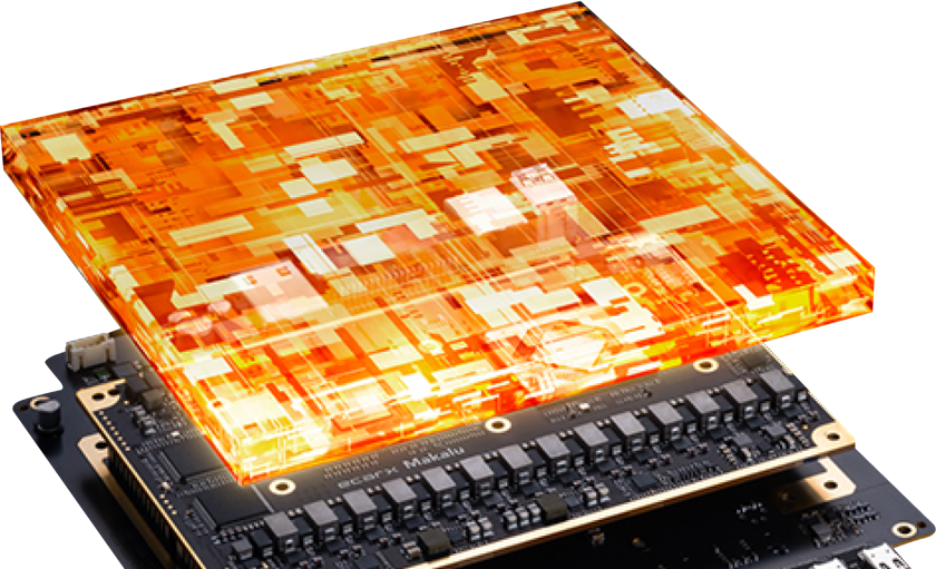 chip-2.jpg