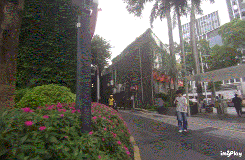 IMG_gzer0a.gif