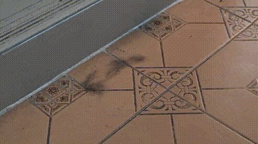 gt_202593_28183_g_compress.gif
