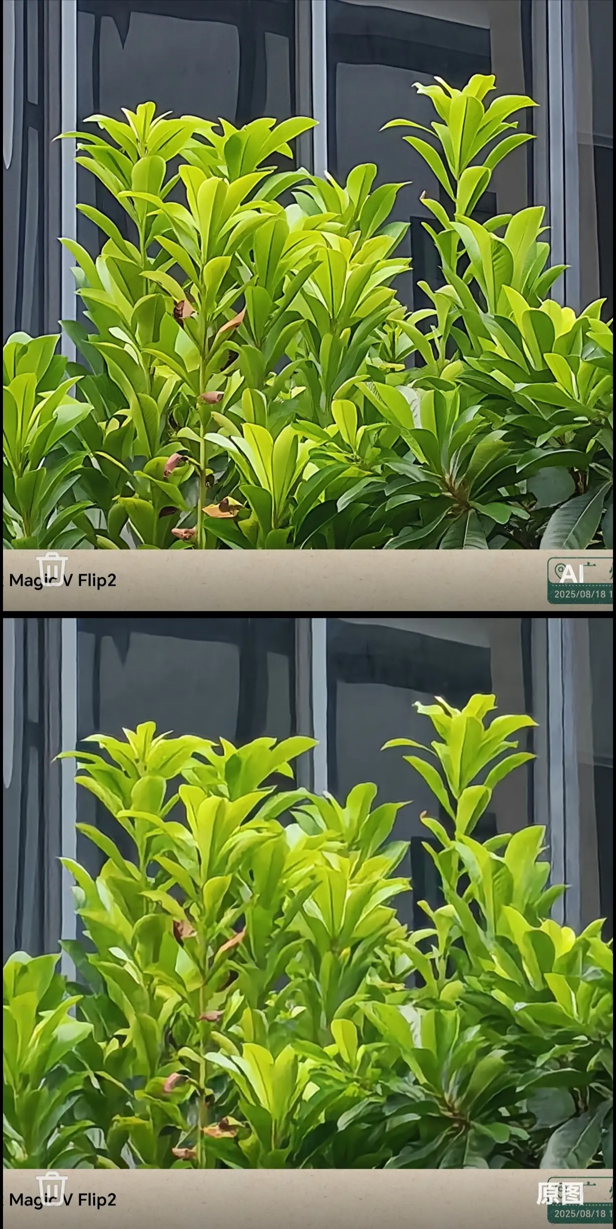 微信图片_20250820101857_230_85.png