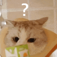 640 (41).gif