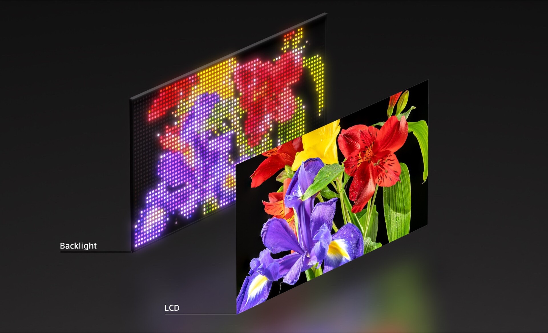 csm_Sony_RGB_LED_Display3_f434f6f294.jpg
