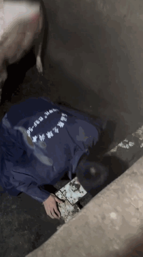 PixPin_2024-01-17_15-49-35.gif