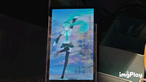 IMG_sdsvxl (1).gif