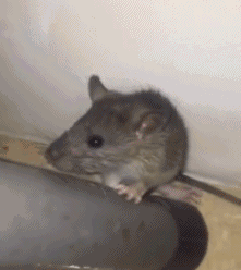 20200922161501.gif
