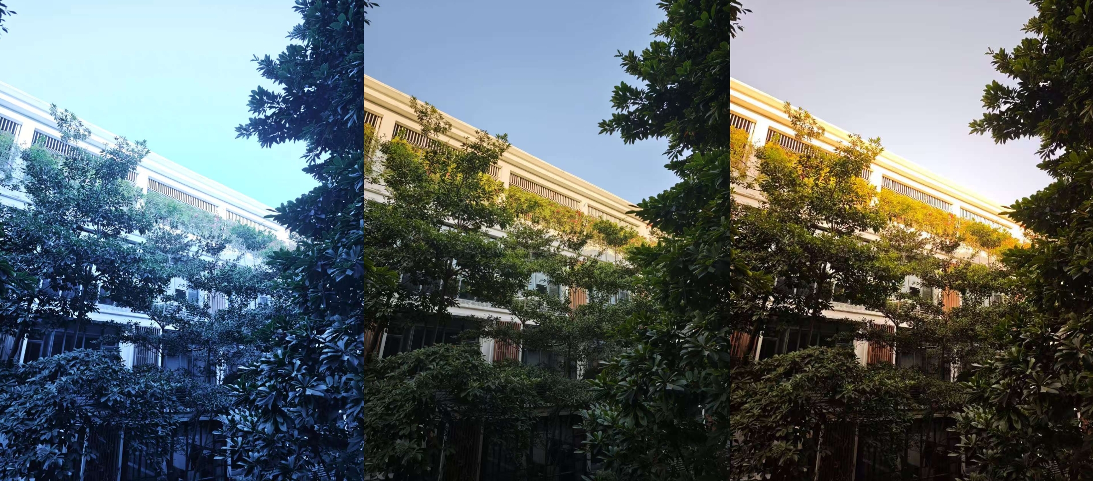 微信截图_20250105014704.png