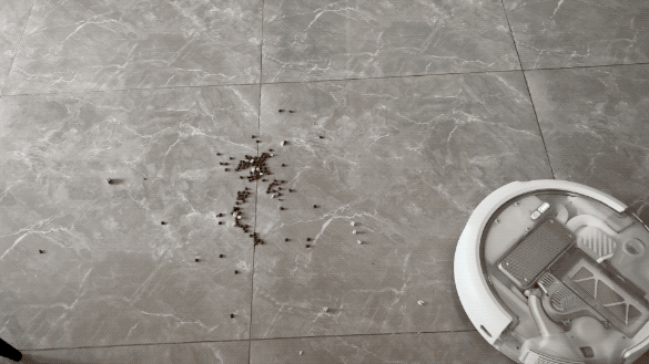 IMG_0468.2026-05-11 18_54_45.gif