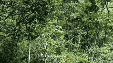 20260825_150716_435.2026-08-25 15_19_08.gif
