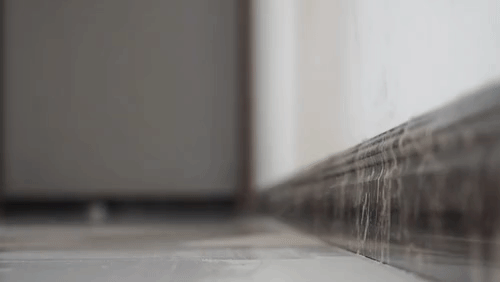 gt_2025522_54873_v_gif.gif