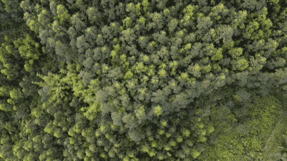 dji_fly_20260416_175710_0374_1777017624478_video.2026-04-24 16_22_30.gif