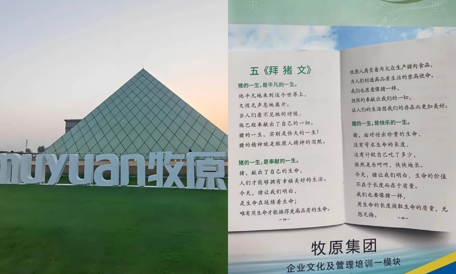 牧原《拜猪文》炸锅!让员工学猪奉献,是企业文化还是职场PUA?