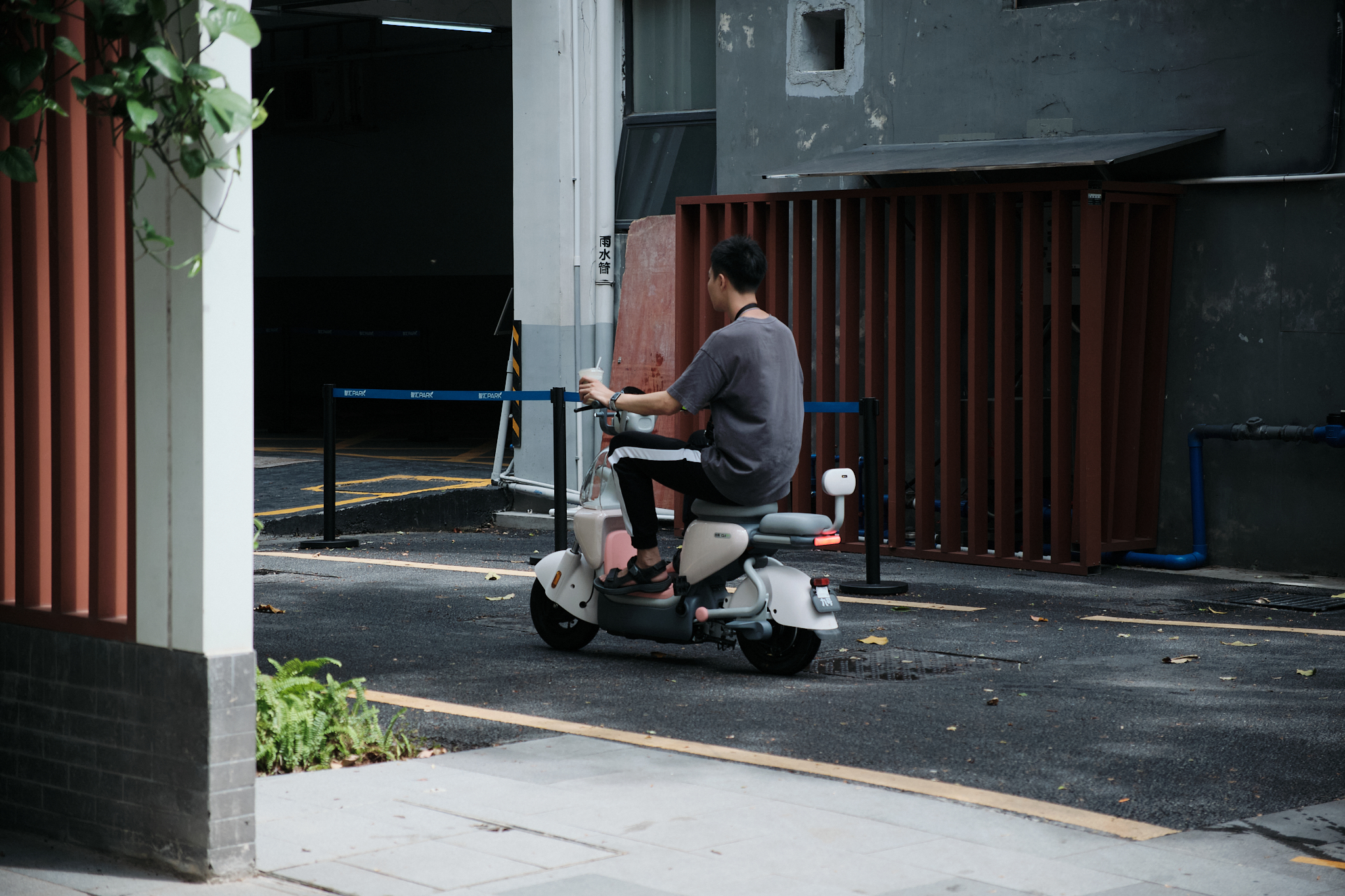 DSCF8311.jpg