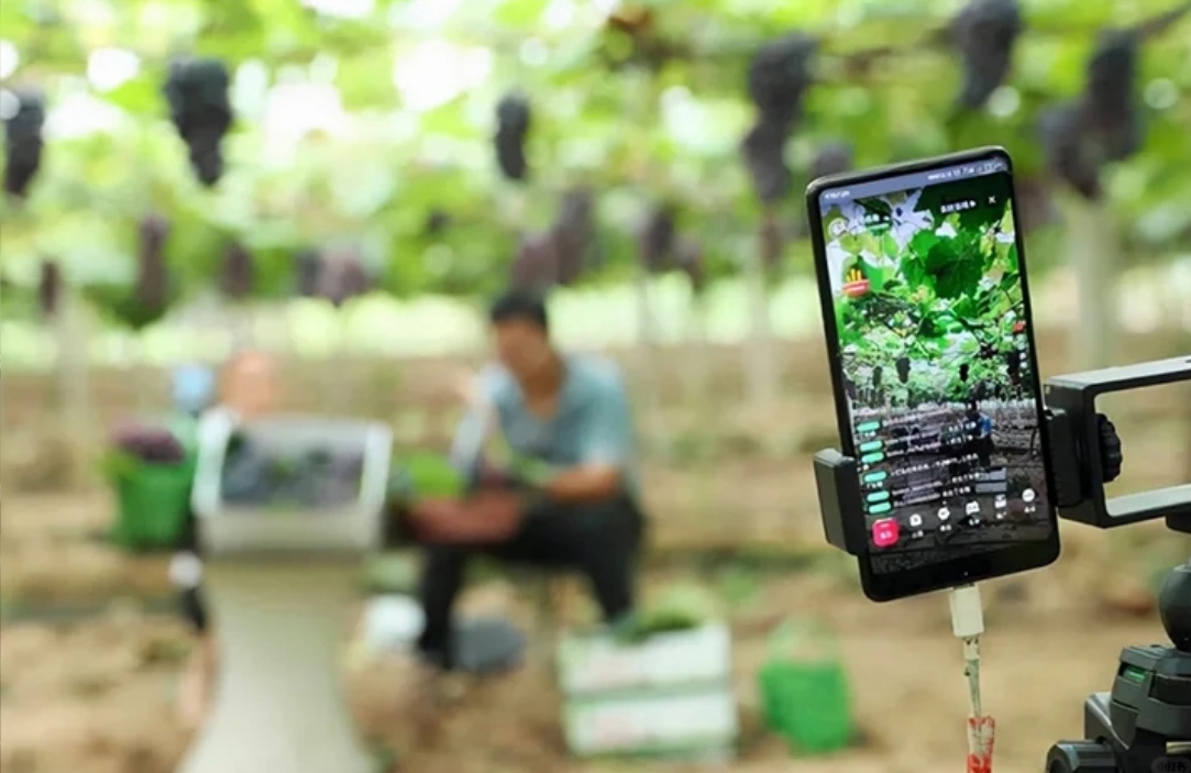 直播带货看似助农实则“圈钱”？真相令人意外