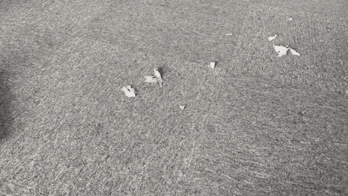IMG_1329.2023-05-10 11_28_52.gif