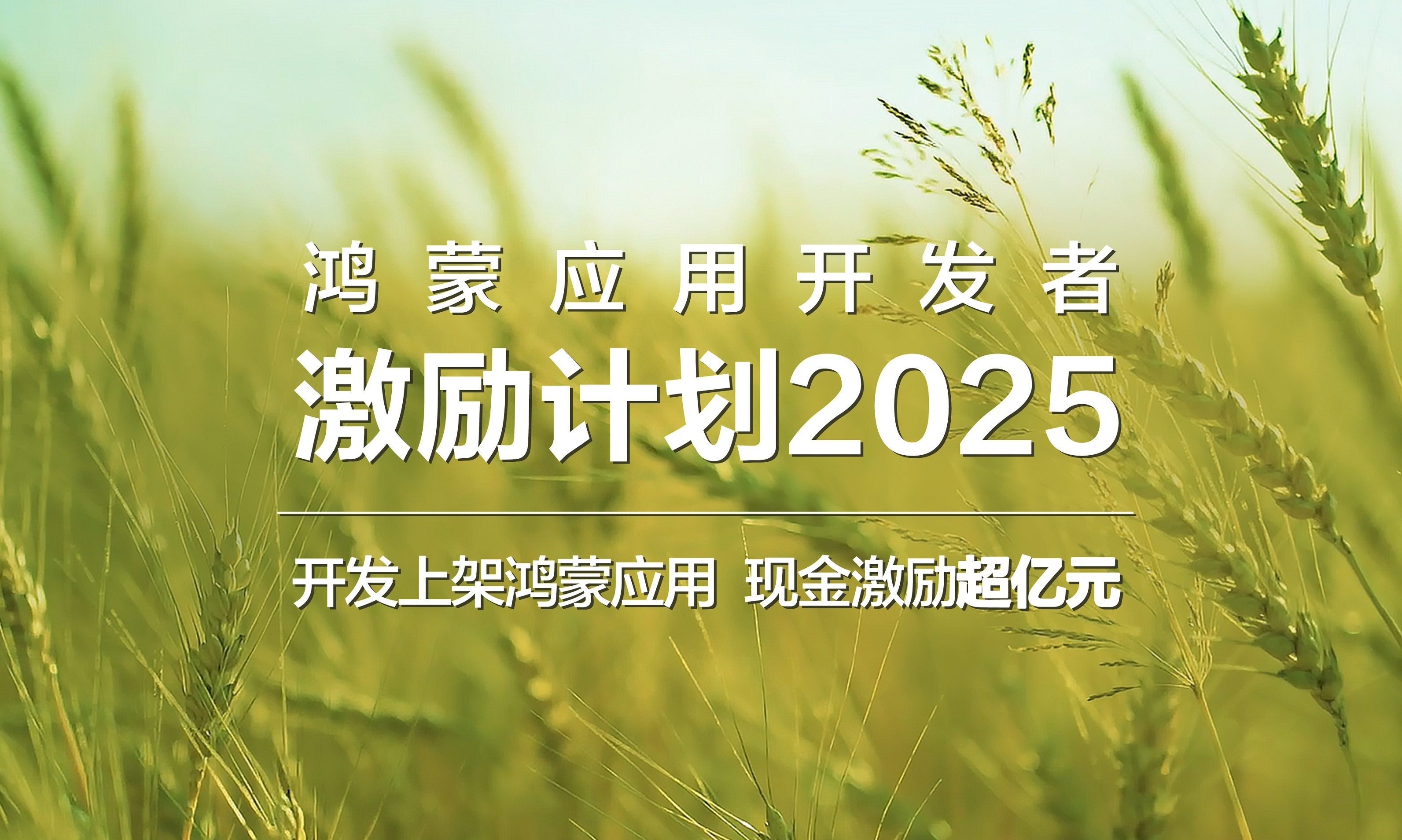 鸿蒙首批激励金到账，一条生态曲线的加速向上
