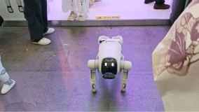 IMB_NCjr0r.gif