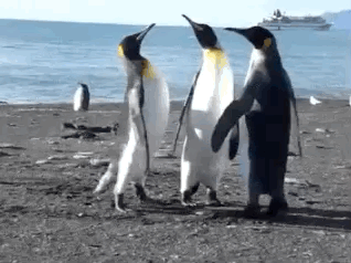 906ee7f0dd2b071749e42746bf31cdf44635.gif