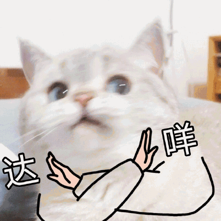 玩偶姐姐被曝炒币赚2亿元!要退休不拍片了?