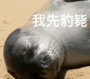 640.gif