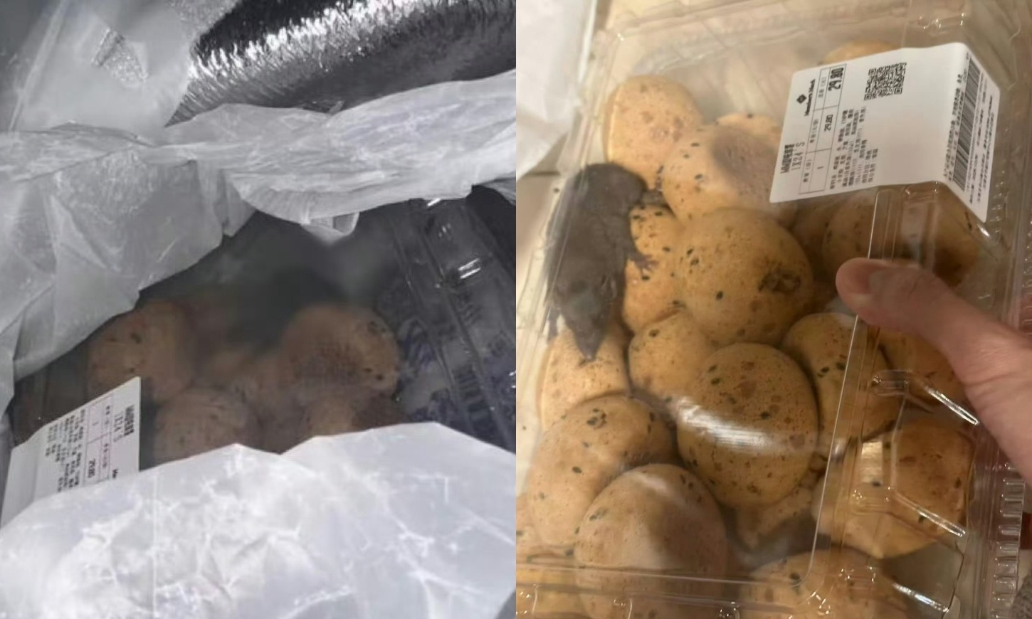 山姆最新回应！麻薯盒内出现活老鼠，当事人称已吓蒙